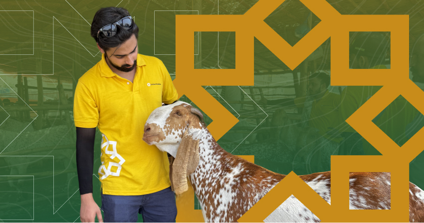 Benefits of qurbani