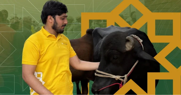 Perform qurbani correctly