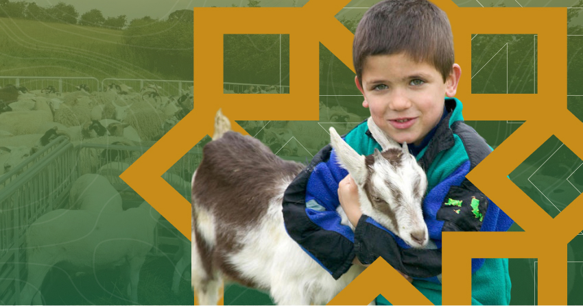 Qurbani in islam